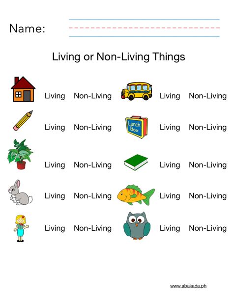 Drawing Living Nonliving Worksheet .
